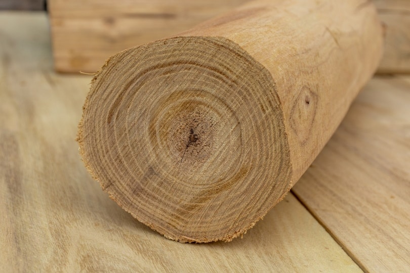 acacia wood