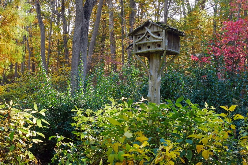 Bird house in garden