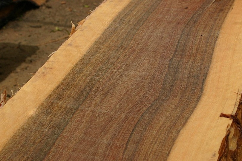 Eucalyptus Wood