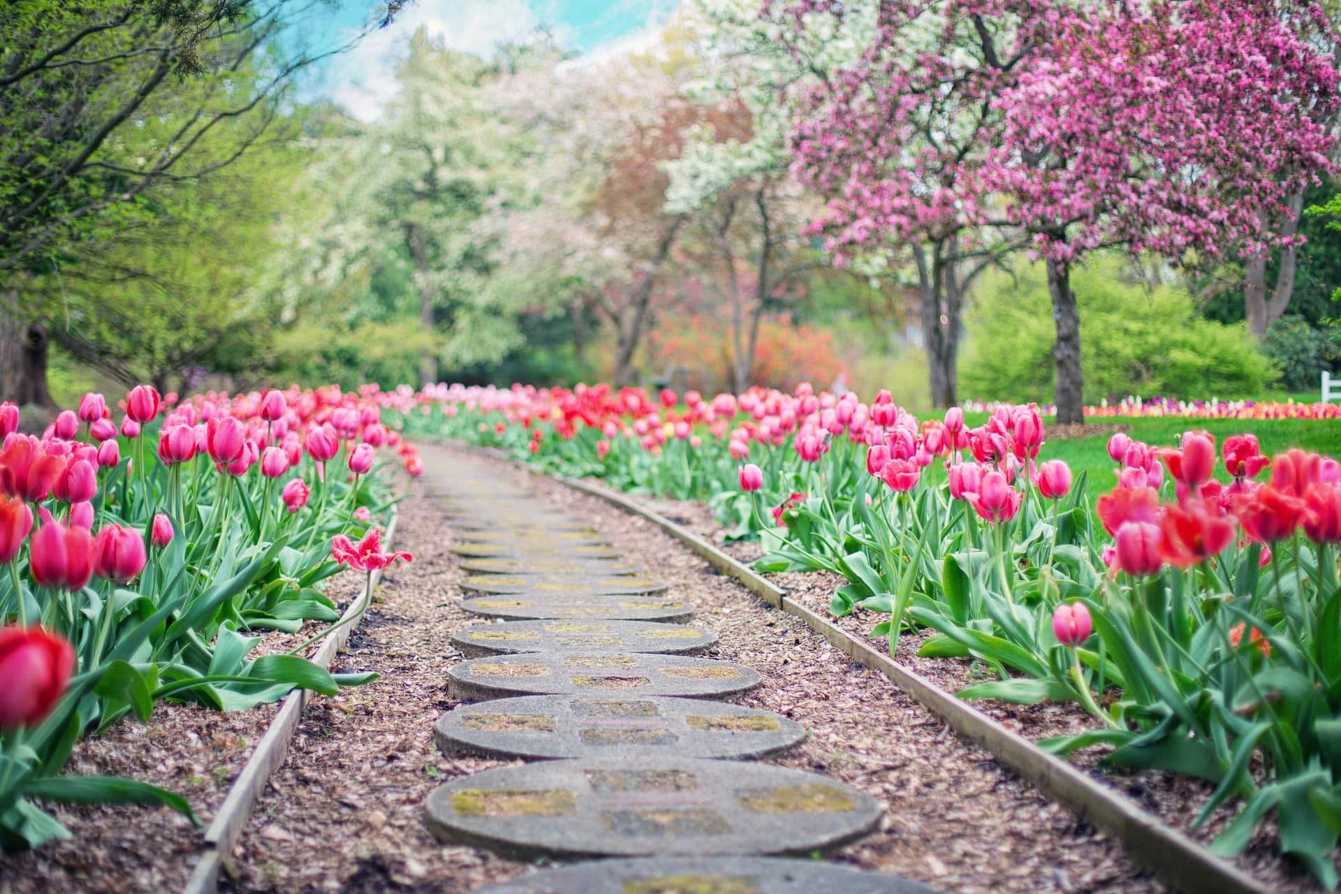 Landscape Garden