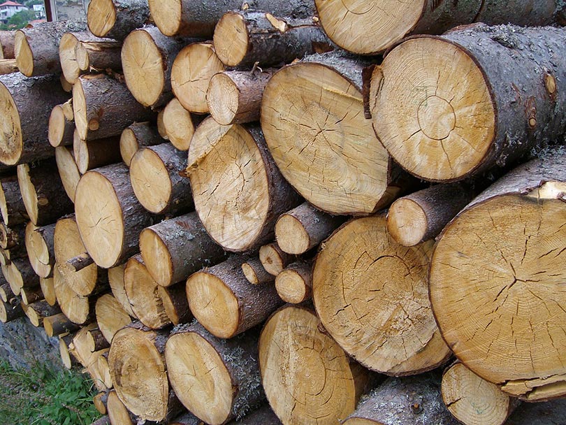 oak wood