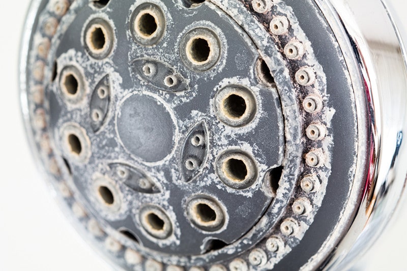Shower head Limescale Deposit