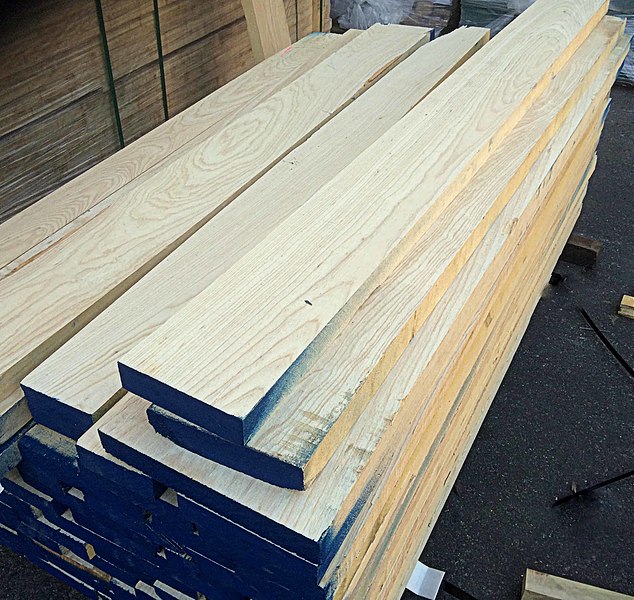 Southern White Ash Wood